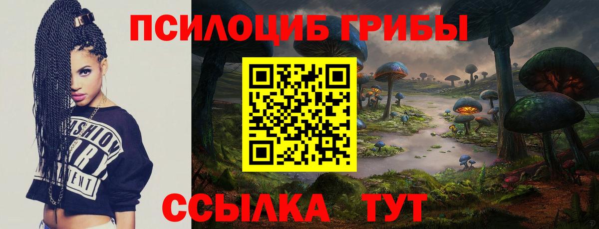 Галлюциногенные грибы мухоморы Братск