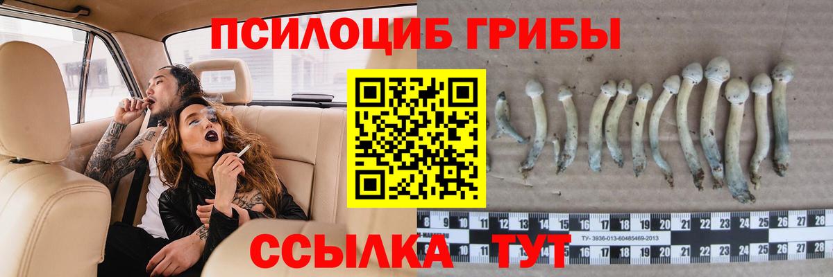 Псилоцибиновые грибы прущие грибы  Вход с VPN  Братск 